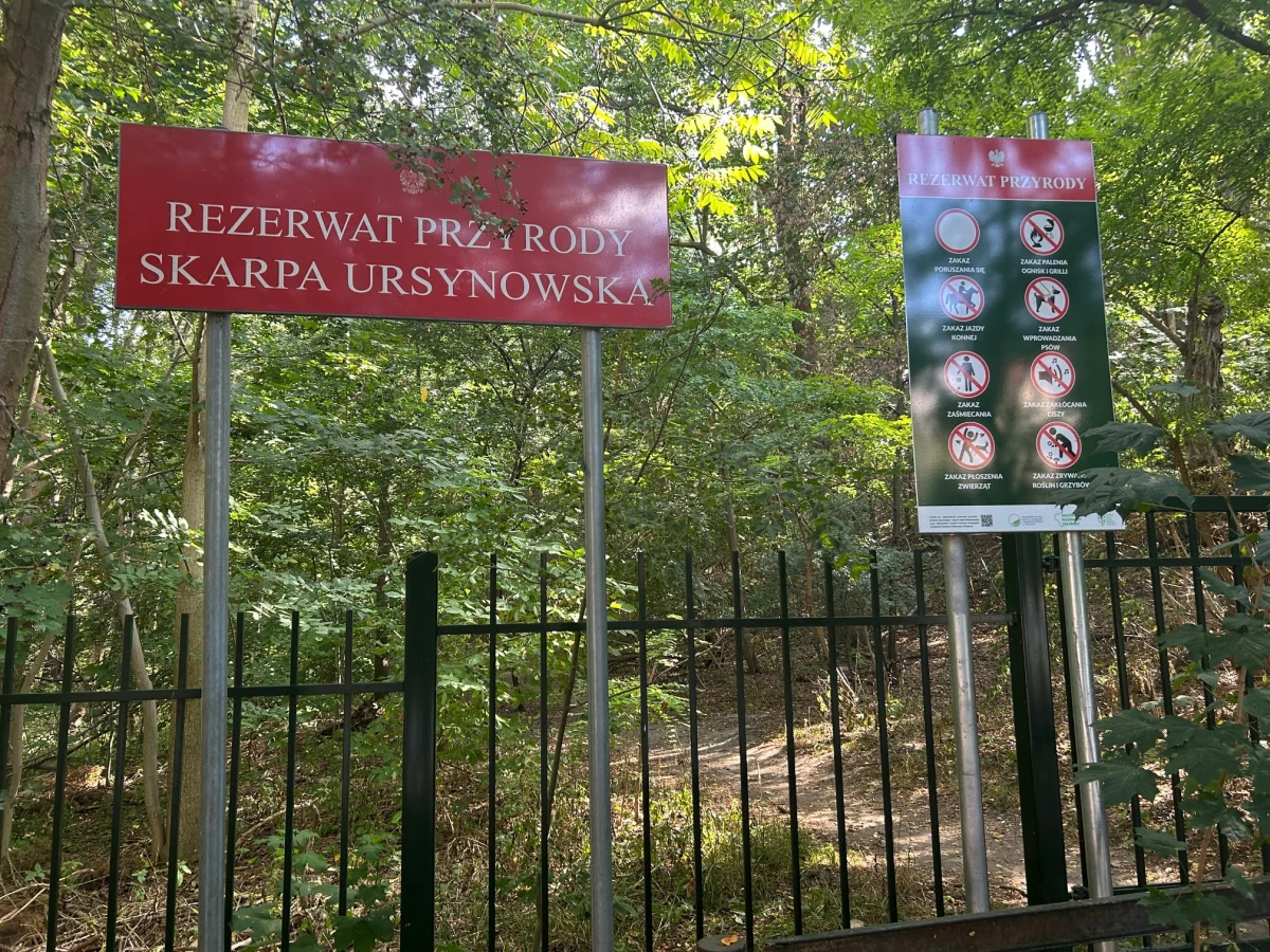W połowie września furtki prowadzące do Rezerwatu Przyrody Skarpa Ursynowska w Warszawie zostaną zamknięte na klucz. Mieszkańcy mówią, że to skandal i decyzja, której nikt z nimi nie konsultował. Urzędnicy z kolei przekonują, że zakaz wejścia do rezerwatu obowiązywał od lat, tylko nie był respektowany.