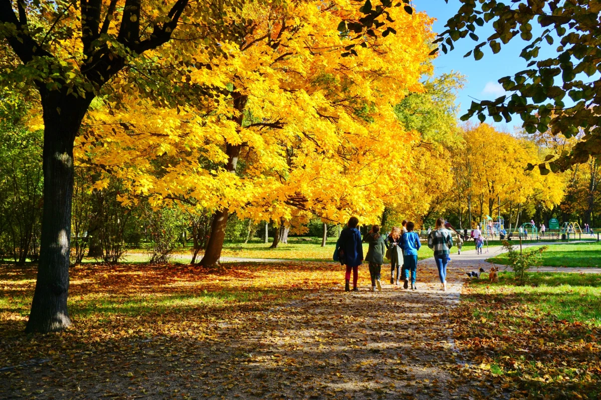 Od 1 października 2025 roku wchodzą w życie korzystne zmiany dla kuracjuszy korzystających z leczenia uzdrowiskowego na NFZ. Obniżone opłaty za pobyt w sanatorium, elastyczne zasady kierowania oraz atrakcyjne lokalizacje sprawiają, że jesień to doskonały czas na zadbanie o zdrowie w jednym z polskich uzdrowisk. Sprawdzamy, ile kosztuje pobyt, jak zdobyć skierowanie i które sanatoria warto wybrać na jesienny turnus.