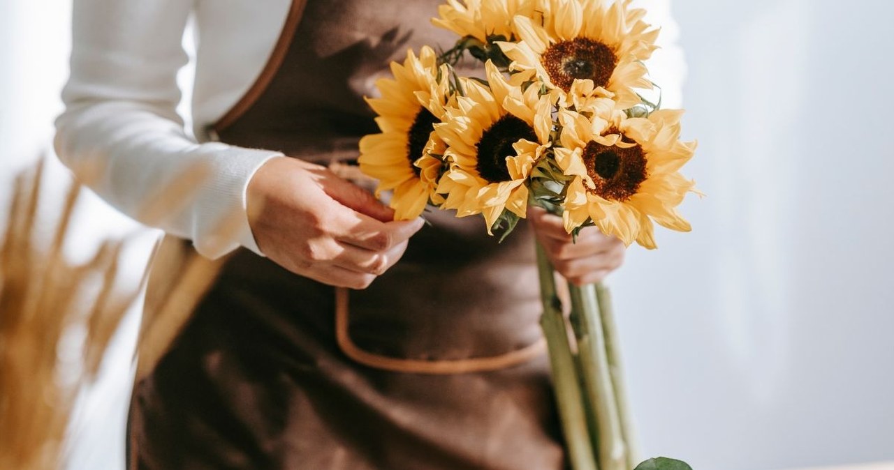 Jak sprawić, by słoneczniki nie więdły po 2 dniach? Florystka podpowiada