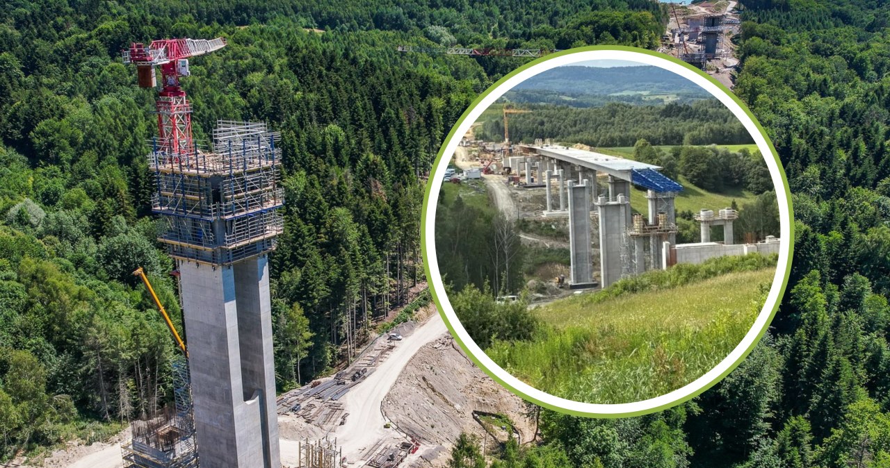 Takiej drogi jeszcze u nas nie było. Estakada na S19 będzie mieć 80 metrów