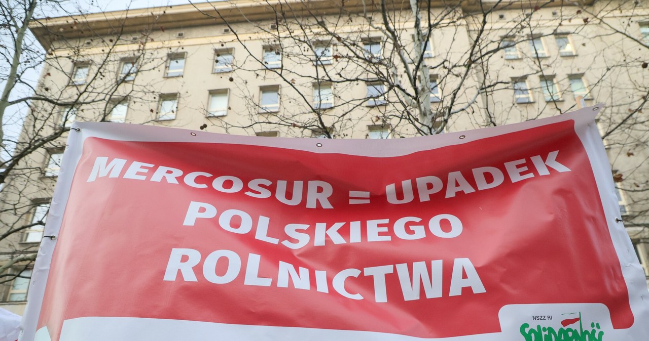 Polska może skorzystać na umowie z Mercosurem? "Nie ma powodów do paniki"