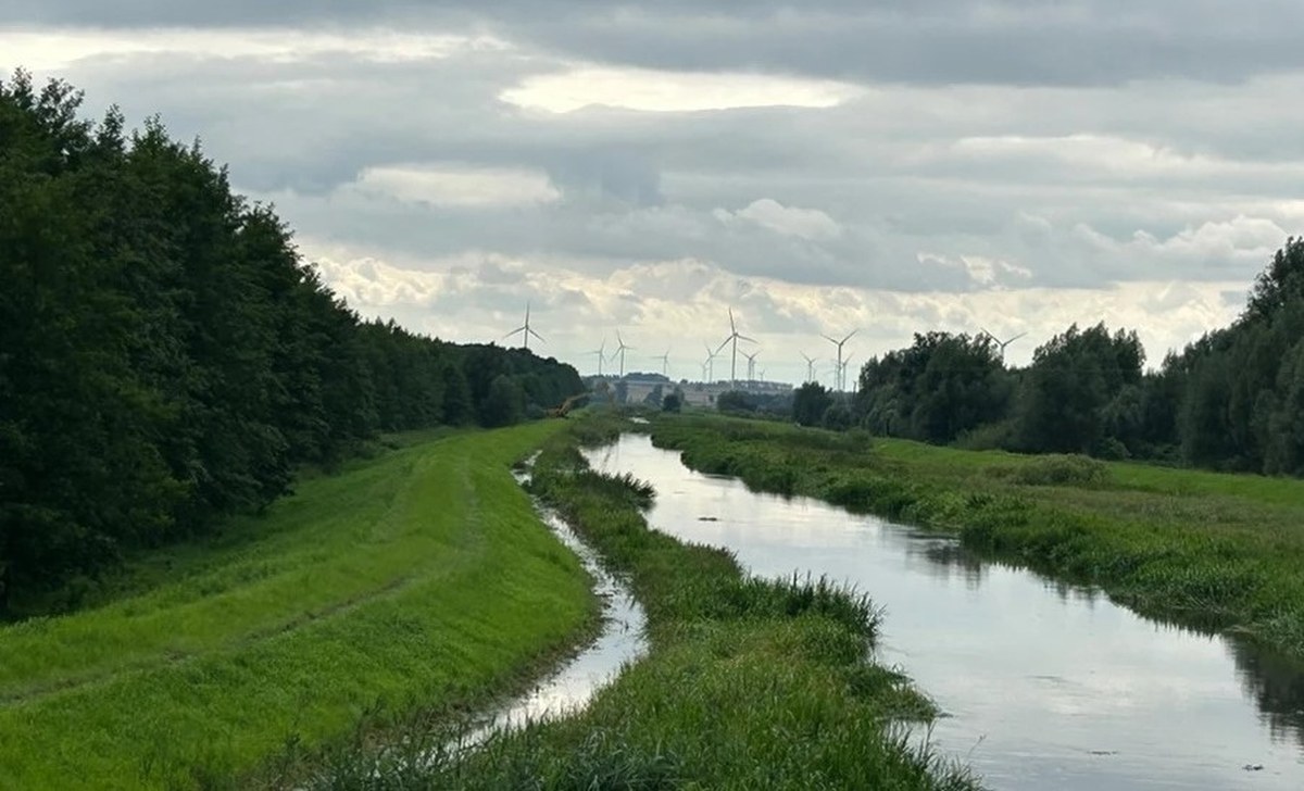 Nowa spółka wodna na Żuławach? Samorządy chcą przejąć inicjatywę