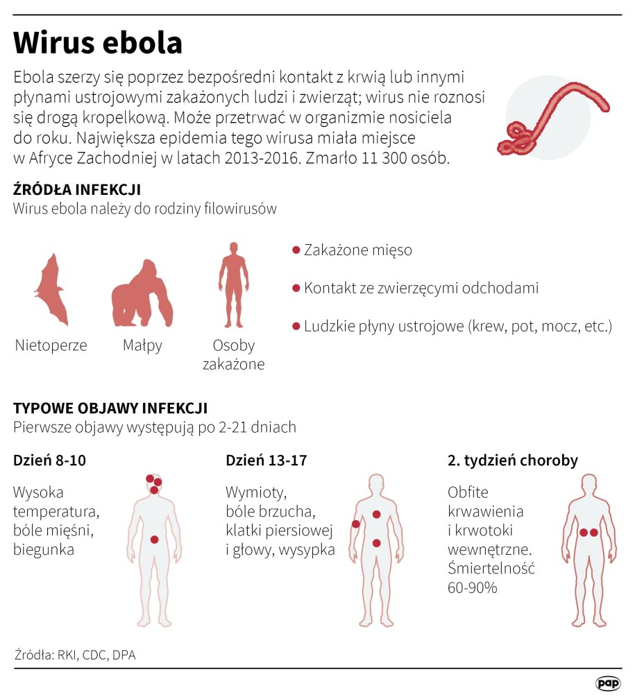 /Maciej Zieliński /PAP