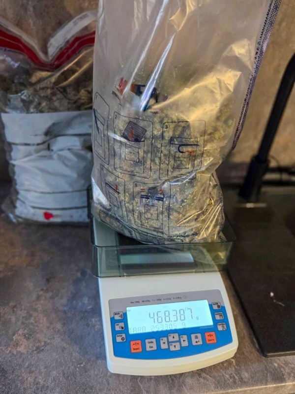 /Warmińsko-Mazurski Oddział Straży Granicznej /Straż Graniczna