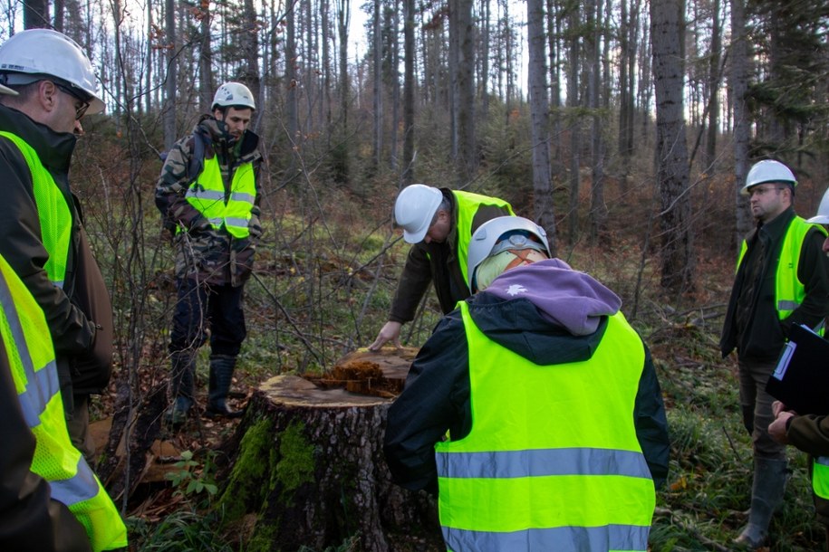 /Michał Grzywa/Dzikie Karpaty /
