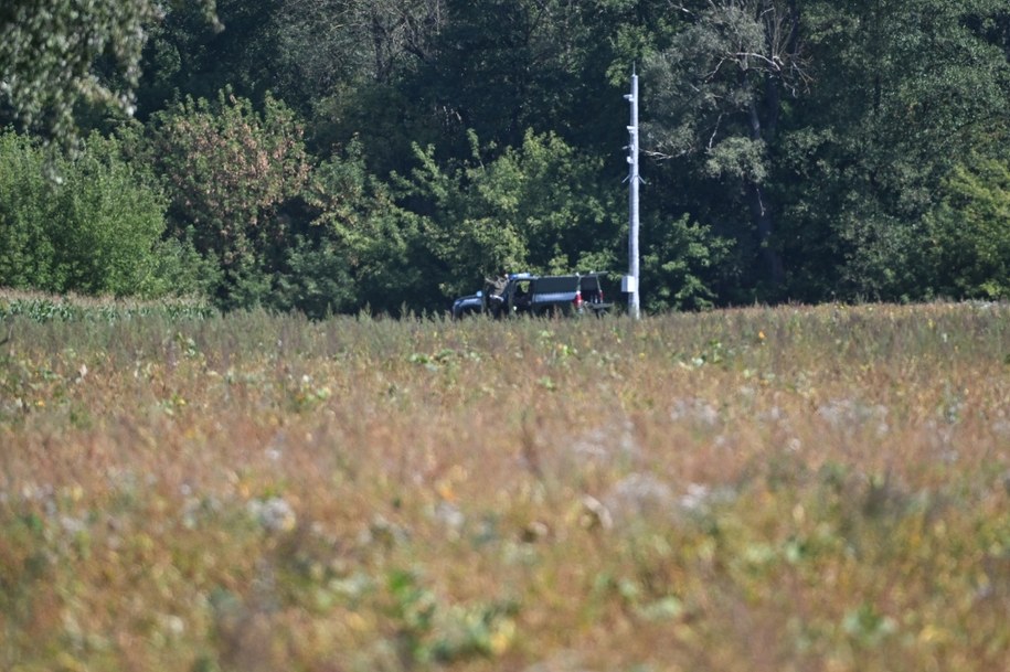 /Wojtek Jargiło /PAP