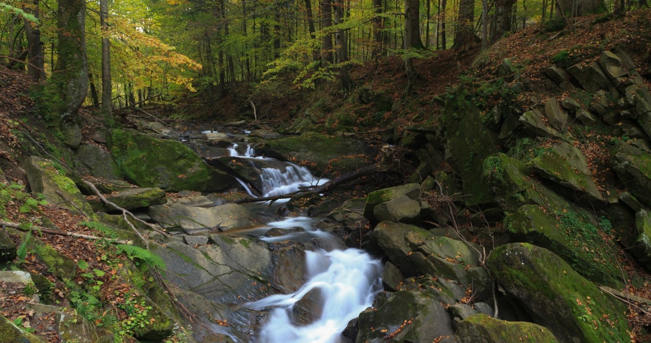 Jesień w Bieszczadach? Koniecznie wybierz się nad ten malowniczy wodospad