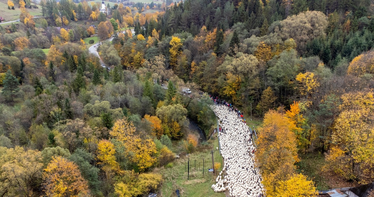 Wielkie widowisko w górach już wkrótce. Mogą być problemy z noclegiem