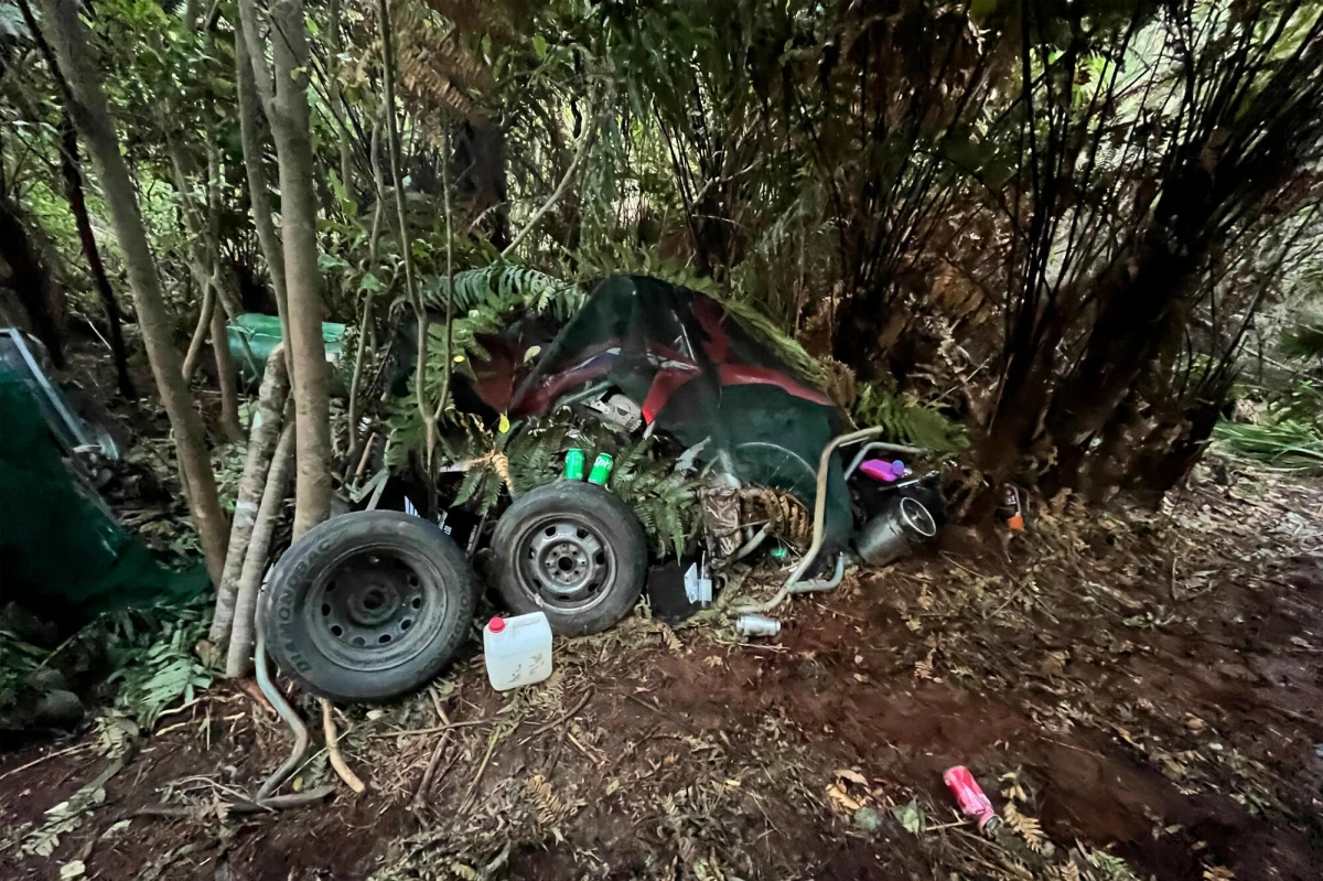 Po niemal czterech latach dramatycznego poszukiwania sprawa Toma Phillipsa i jego trójki dzieci znalazła swój tragiczny finał. Policja w Nowej Zelandii po raz pierwszy ujawnia szczegóły życia rodziny "poza systemem", publikując zdjęcia prowizorycznego obozu i opisując okoliczności akcji, która zakończyła życie poszukiwanego ojca. 