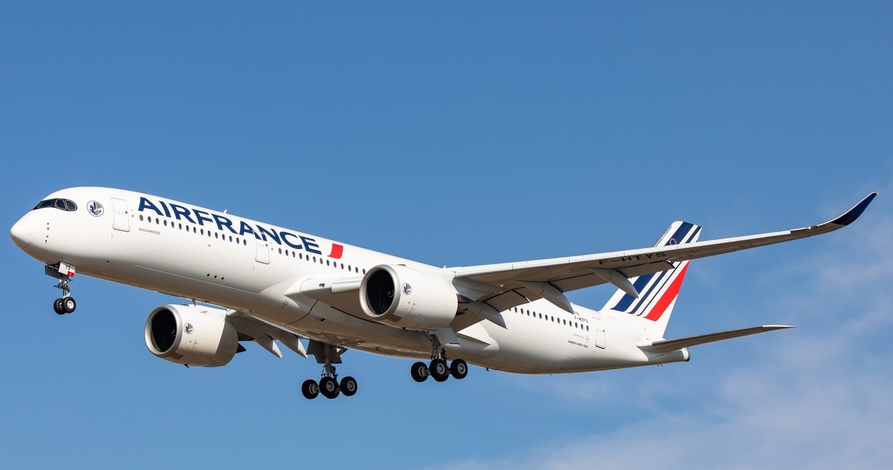 Pierwsza europejska linia włącza w samolotach internet za darmo