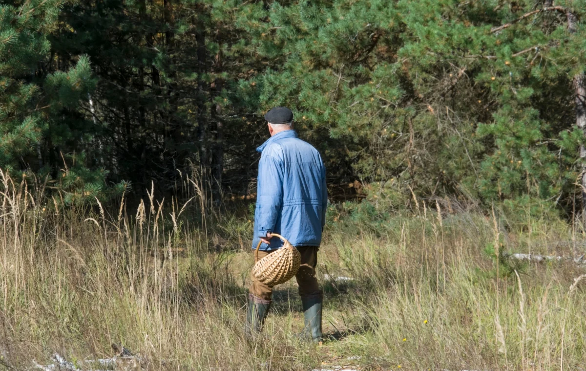 88-letnia kobieta dzisiaj zmarła, a jej mąż od kilku dni przebywa w szpitalu w Elblągu. Starsze małżeństwo najprawdopodobniej zatruło się grzybami. Mężczyzna miał powiedzieć, że zbierał "białe grzyby na łące". Sprawę bada warmińsko-mazurski sanepid.