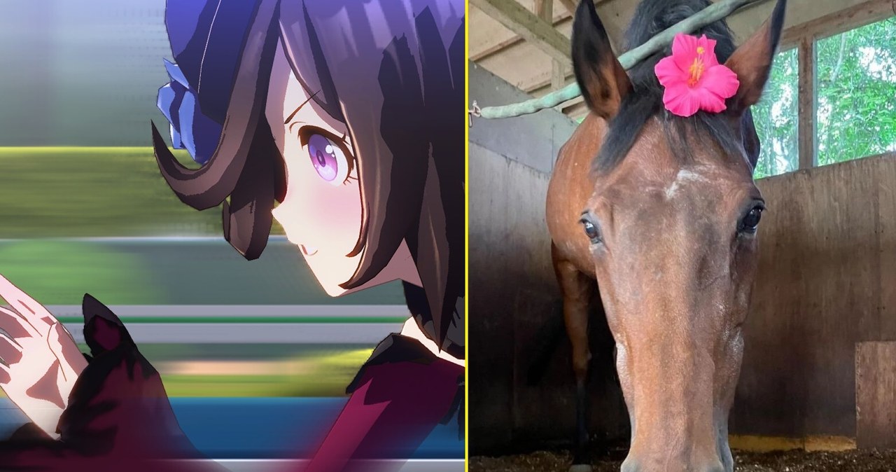 Zmarła legendarna klacz, która wystąpiła w grze wideo. Miała 29 lat