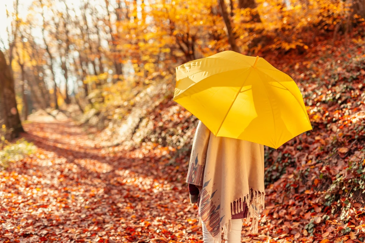 Na Dolnym Śląsku drzewa zaczęły zrzucać liście już pod koniec sierpnia – to niecodzienny widok, który zaniepokoił zarówno mieszkańców, jak i naukowców. Badacze z Uniwersytetu Przyrodniczego we Wrocławiu nie mają wątpliwości: to kolejny sygnał, że klimat się zmienia, a skutki tych zmian dotykają nawet najbardziej oczywistych cykli przyrody.