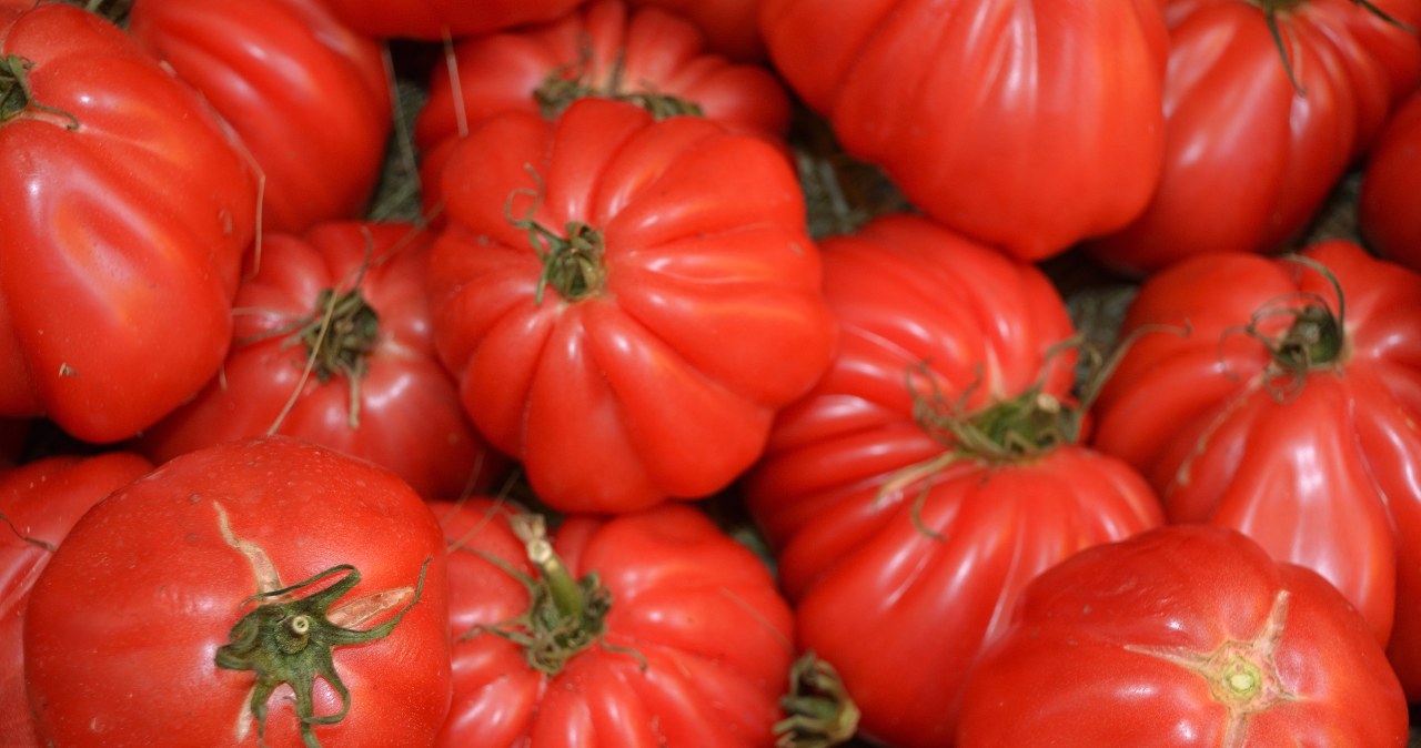 Konsumenci wskazali na najsmaczniejszą odmianę. Tylko dla bogaczy?