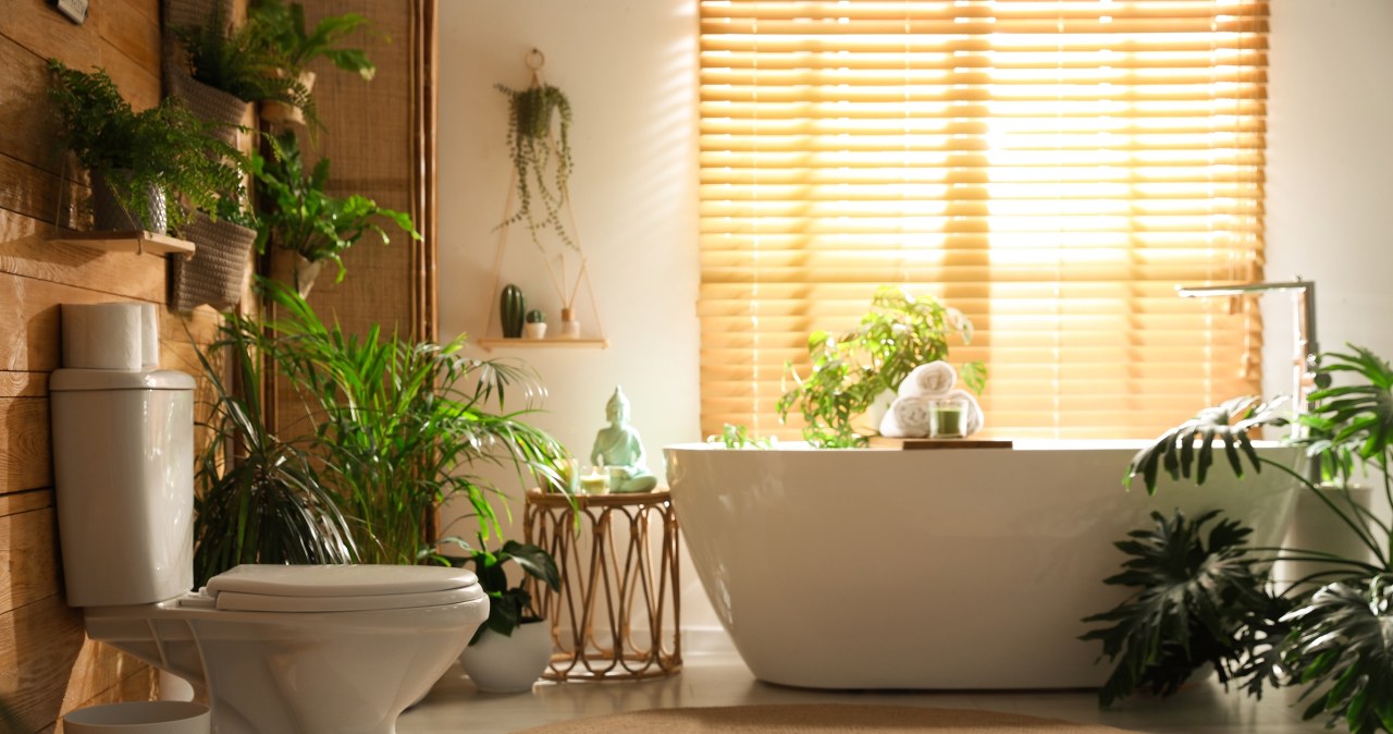 Marzysz o roślinach w łazience? Te gatunki poczują się tam jak w spa