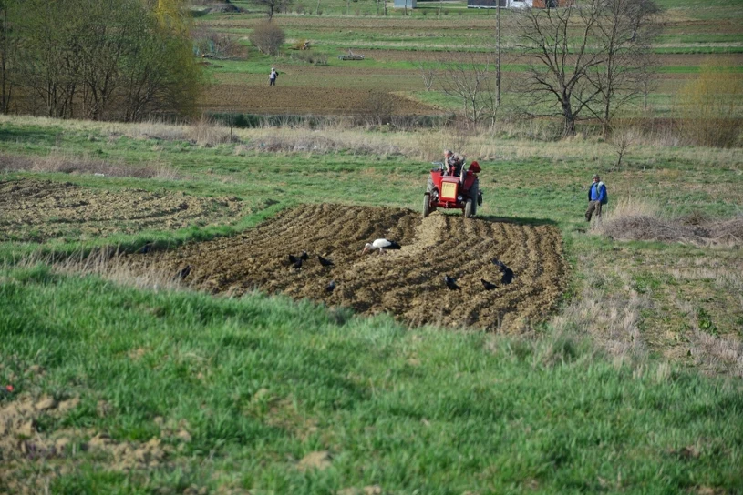 Wojna w Iranie uderzyła w polskich rolników. "Pola pozostaną niezasiane"