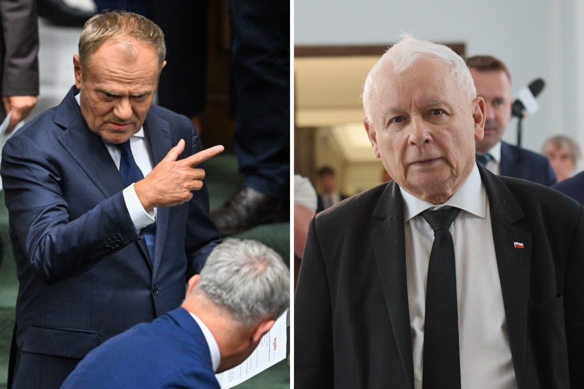 Sondaż: PiS i KO idą łeb w łeb. Co z partią Brauna?