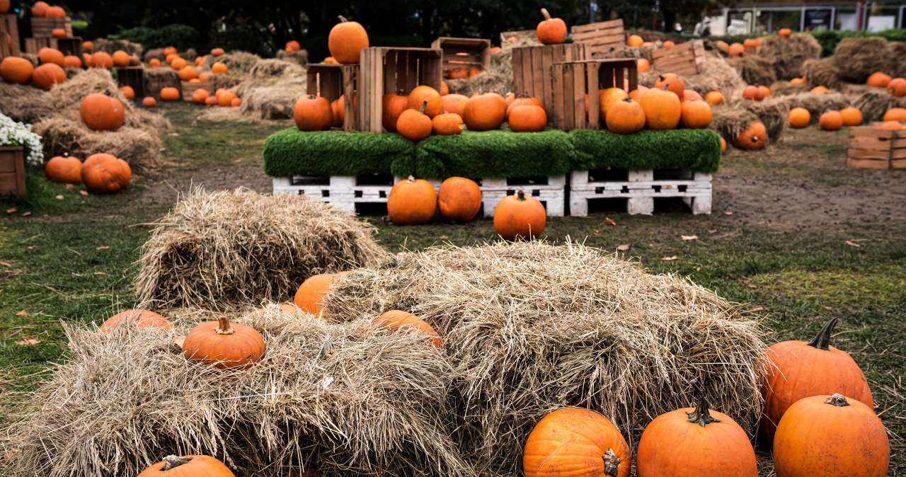 To miejsce musisz odwiedzić we wrześniu lub październiku. Prawdziwy jesienny klimat