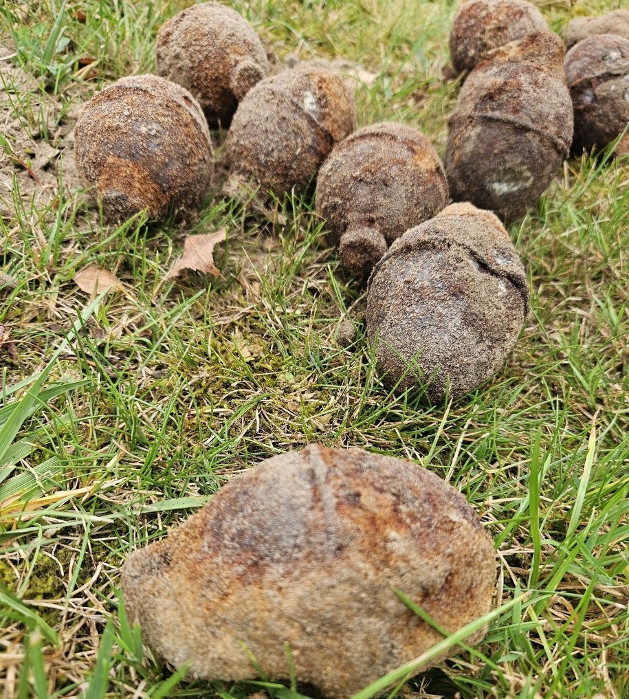 /Mazowiecka Policja /Policja