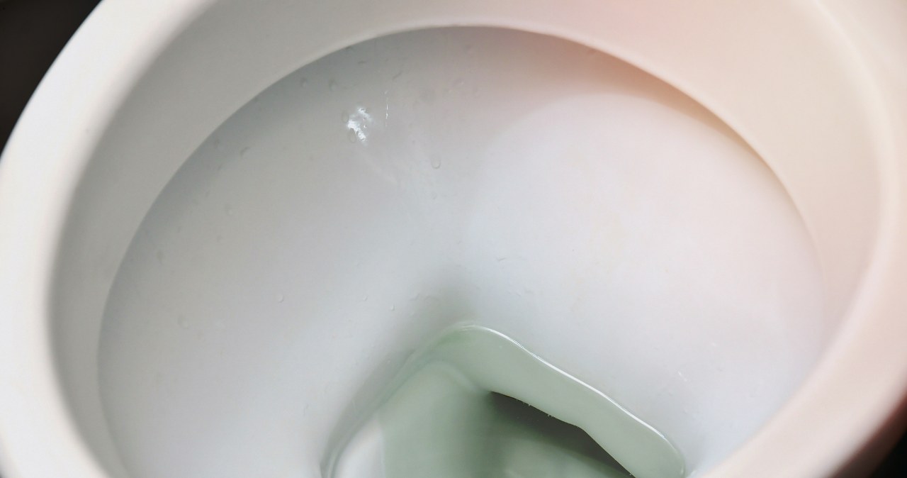 Nigdy nie umieszczaj tego w toalecie. Kara to 10 tys. zł