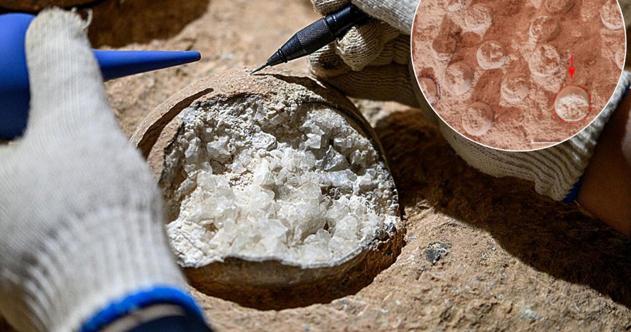 Rewolucyjne odkrycie na temat tajemniczych skamieniałych jaj z Chin