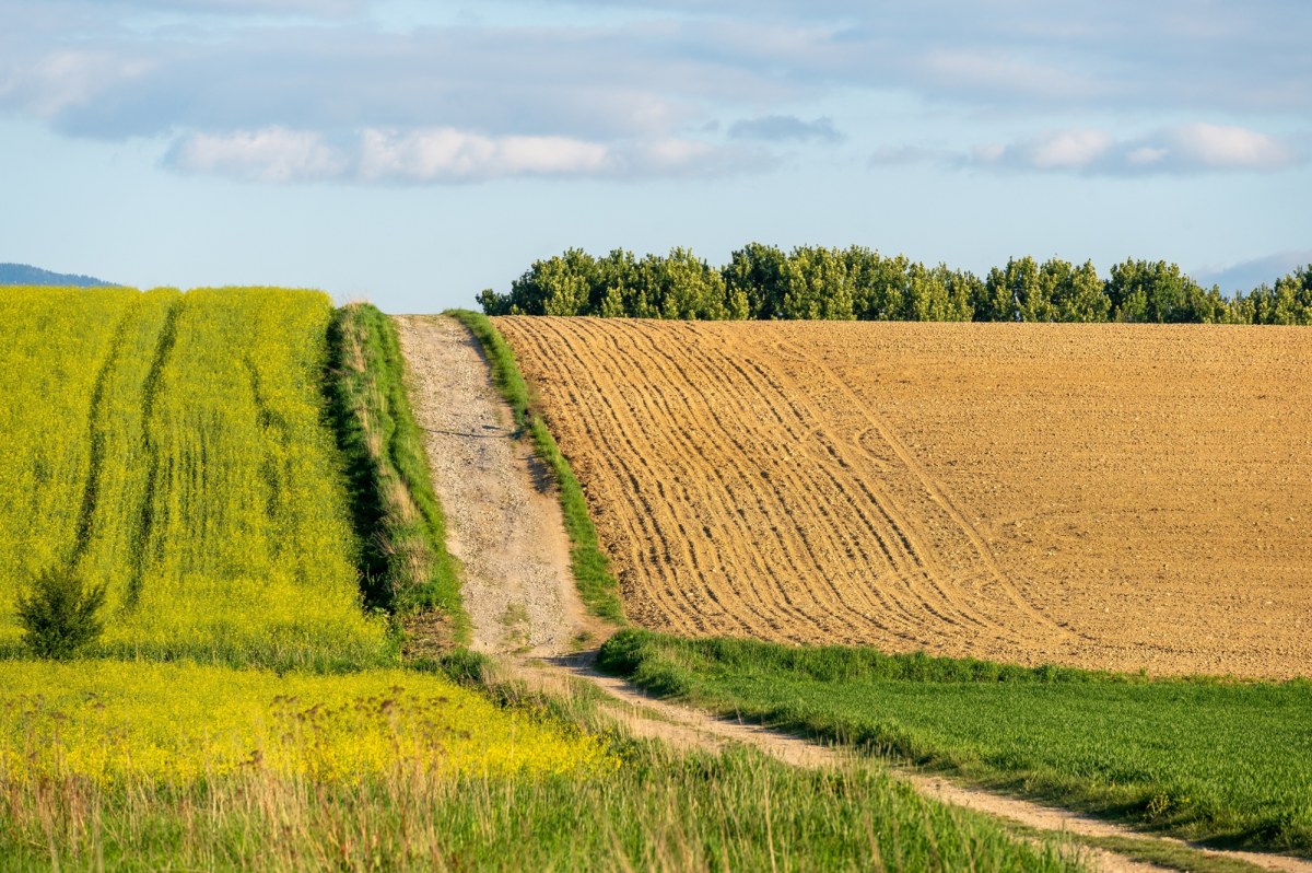 State land blocked for 10 years. A fresh  bill is ready