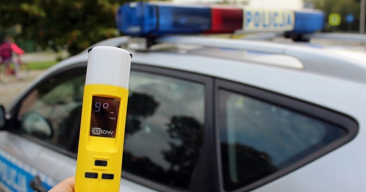 Pijana 71-latka z zakazem prowadzenia skosiła słupki i porzuciła pasażerkę