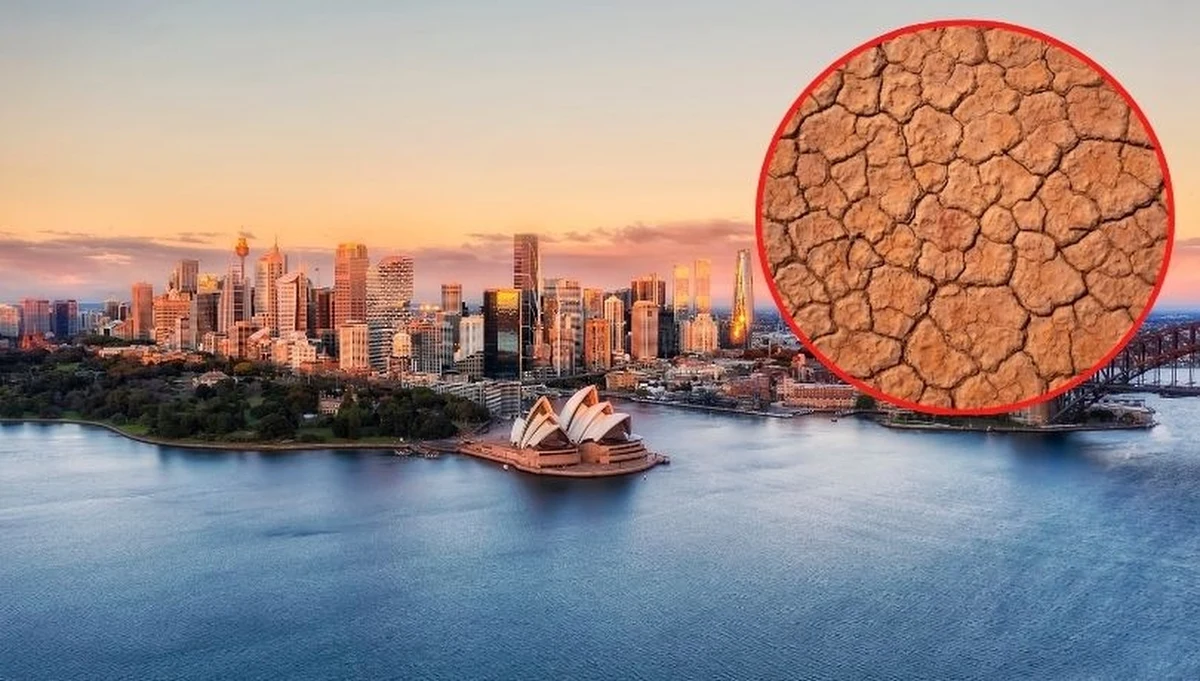 Do 2050 roku ponad milion z 27 milionów Australijczyków może stracić domy i źródła utrzymania. Powodem jest wzrost poziomu mórz. Liczba zgonów spowodowanych upałami wzrośnie o ponad 400 procent. Takie alarmujące dane przynosi raport, przygotowany dla rządu w Canberze przez niezależnych ekspertów.