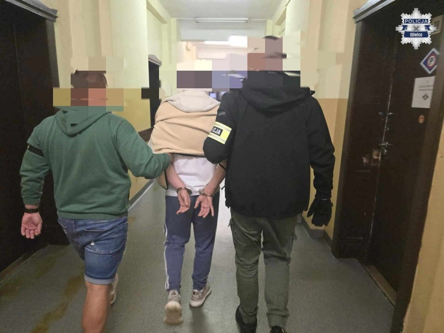 /Policja Gliwice /Policja