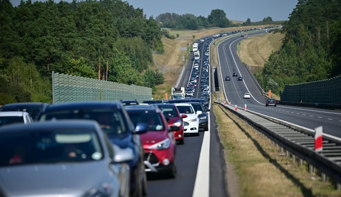 Autostradowy kompleks trapi Polaków. "A jeszcze go karmimy"