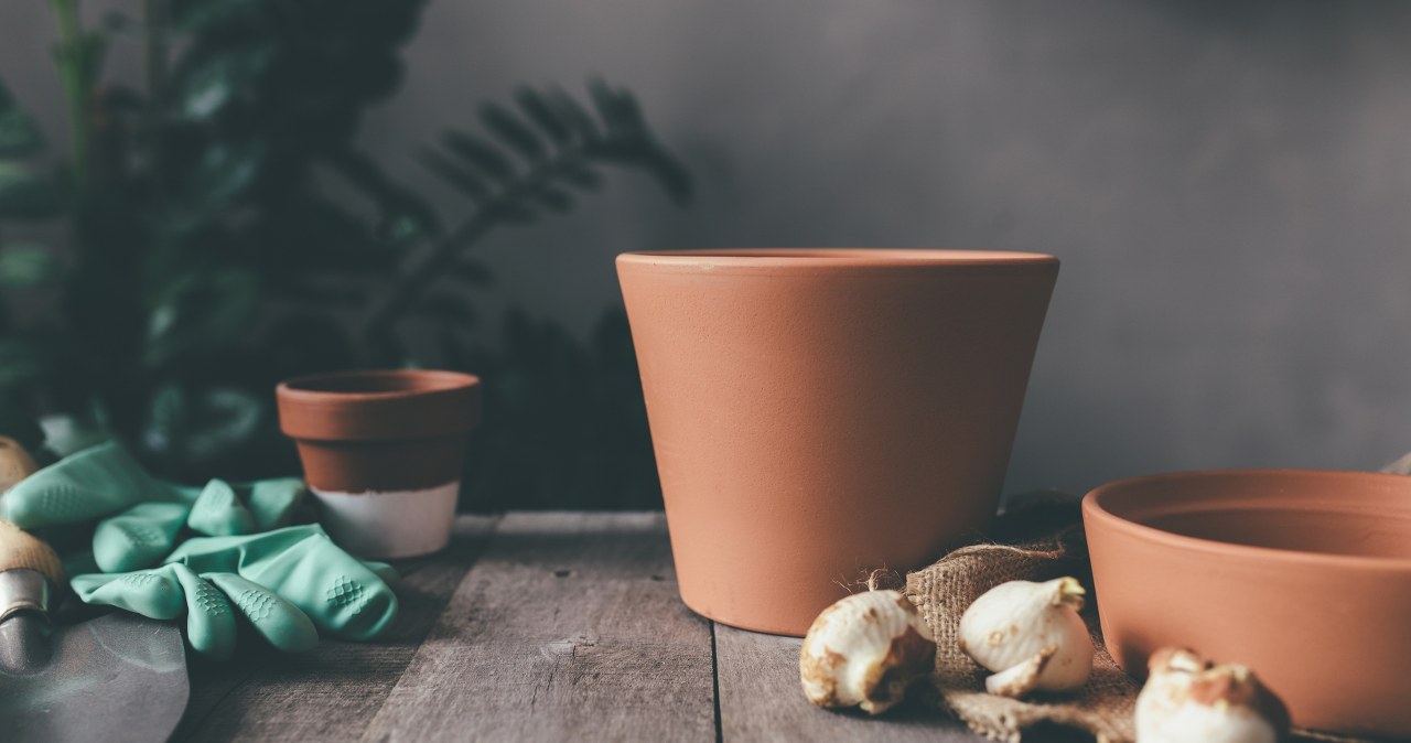 Niepozorne, a przyciągają pustkę w życiu. Wyrzuć z domu jak najszybciej