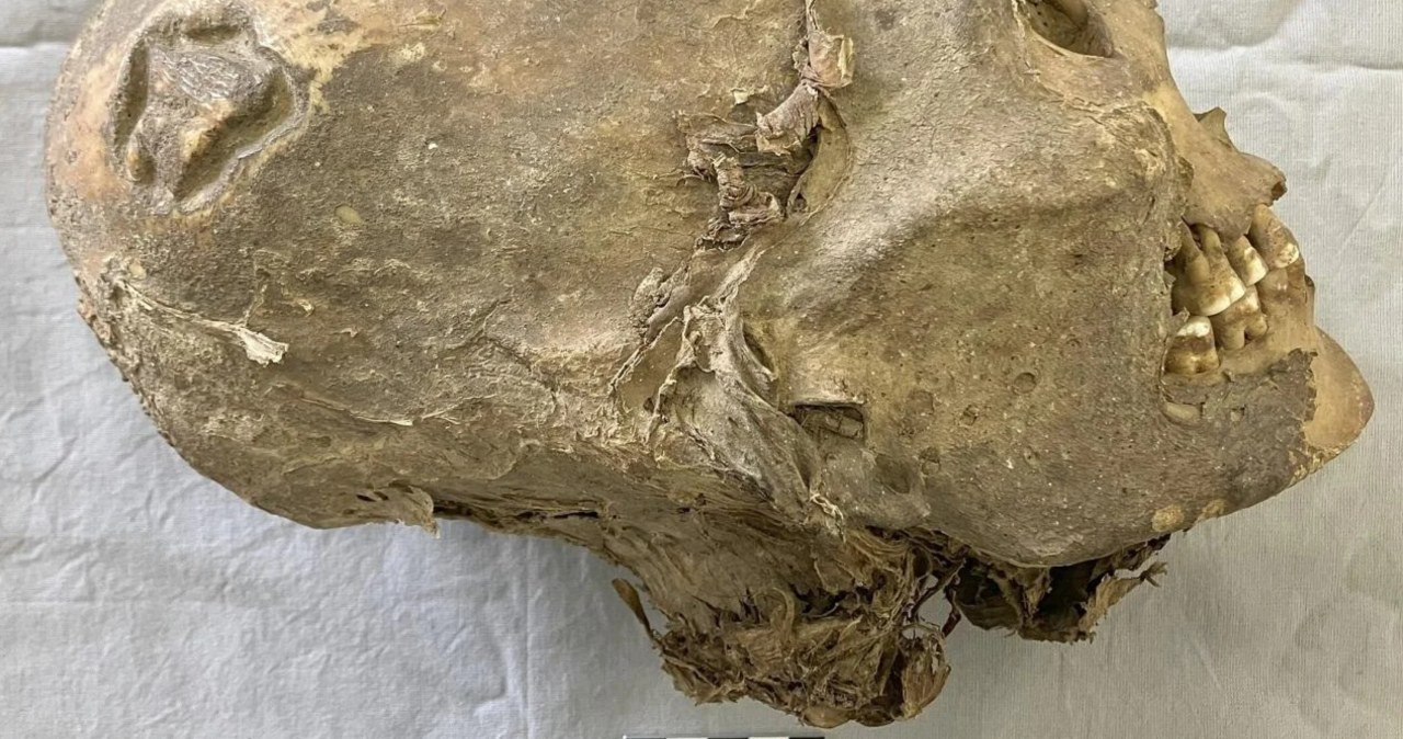 Mumia ze Szwajcarii: Chodzi o Ajmarów, a nie Inków