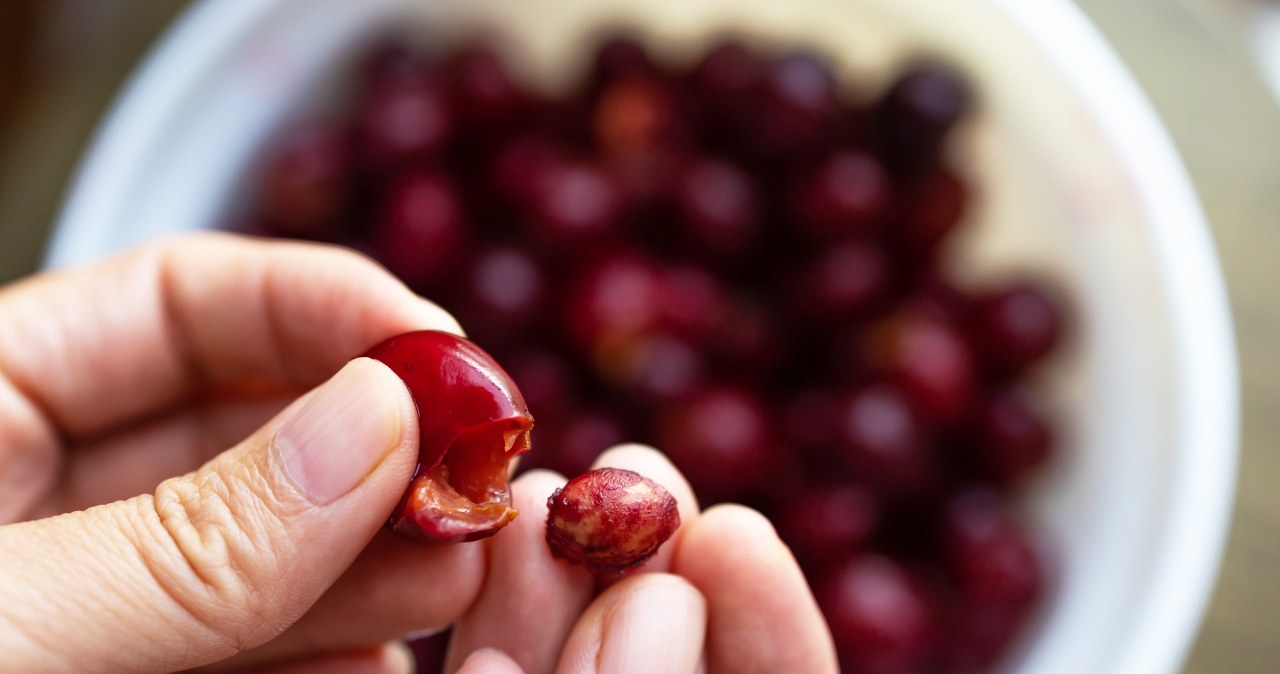 Co można zrobić z pestek po owocach? Już nigdy więcej nich nie wyrzucisz