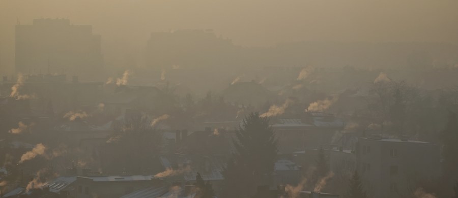 Z danych Światowej Organizacji Zdrowia wynika, że ponad 99 proc. populacji globu żyje w obszarach, gdzie normy jakości powietrza są przekraczane. Polska znajduje się w czołówce krajów Unii Europejskiej, w których problem jest szczególnie dotkliwy. Według szacunków Europejskiej Agencji Środowiska - smog, co roku odpowiada u nas za około 40 tys. przedwczesnych zgonów. Tymczasem, przeprowadzone w czerwcu badanie i raport, który powstał na jego podstawie - pokazują, że świadomość na temat zagrożenia w naszym kraju jest zbyt niska.