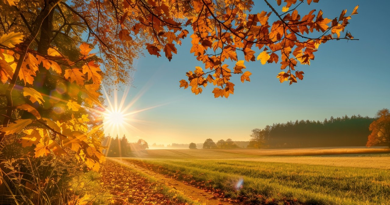 22 września będzie wyjątkowy. Noc i dzień realizowane są po 12 godzin