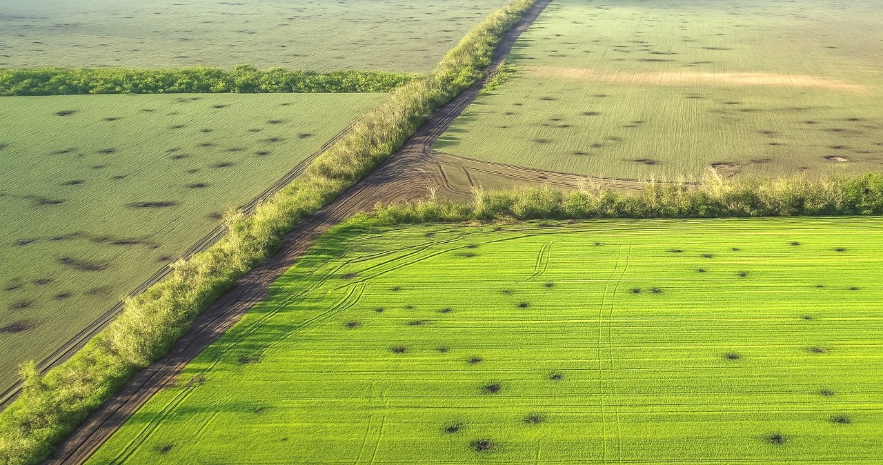 Dronowa katastrofa ekologiczna w Ukrainie uderzy w całą planetę