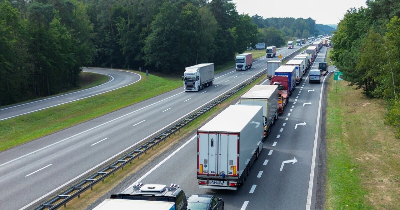 Polskie hity podbijają świat. Oto co zamawia od nas zagranica
