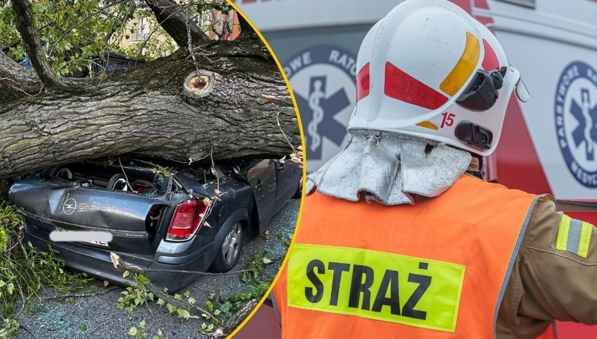 Drzewo przygniotło auta w Warszawie. W środku byli ludzie