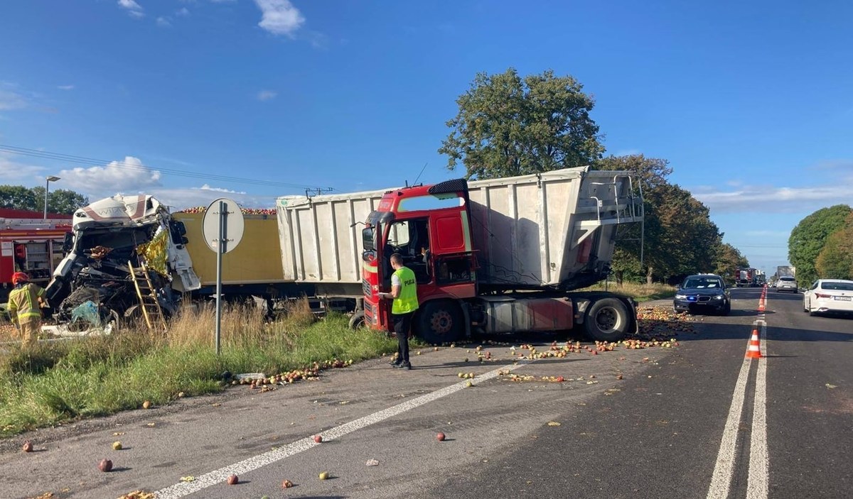 Towar wysypał się na drogę, kierowca zginął. Wypadek tirów na Lubelszczyźnie