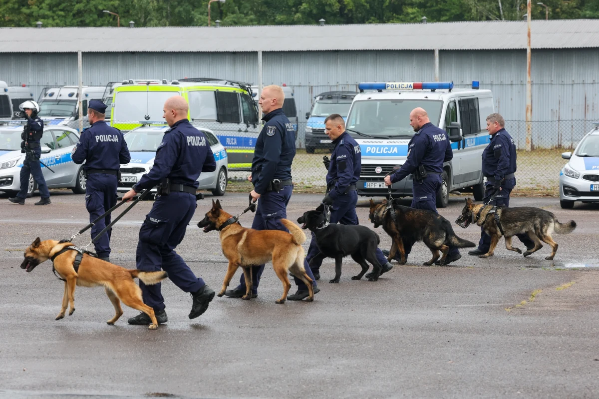 Do końca roku liczba policjantów w Polsce przekroczy 100 tys. - takie są prognozy przedstawione przez Komendę Główną Policji. Teraz w tej formacji służy blisko 99,5 tys.  funkcjonariuszy, jednak w najbliższym czasie przewidziane są kolejne nabory, a chętnych jest 25 tys.