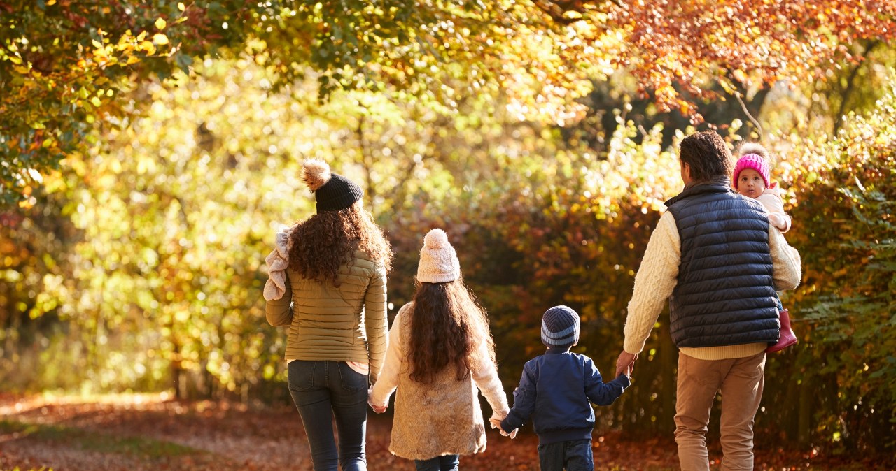 Seniorzy muszą wiedzieć. Karta dużej rodziny w zasięgu ręki