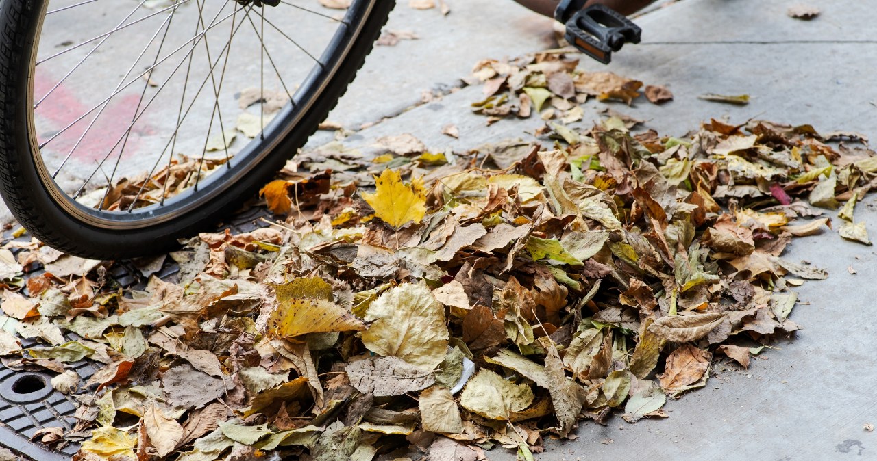Wraca obowiązek dla właścicieli nieruchomości. Wielu nie jest tego świadomych