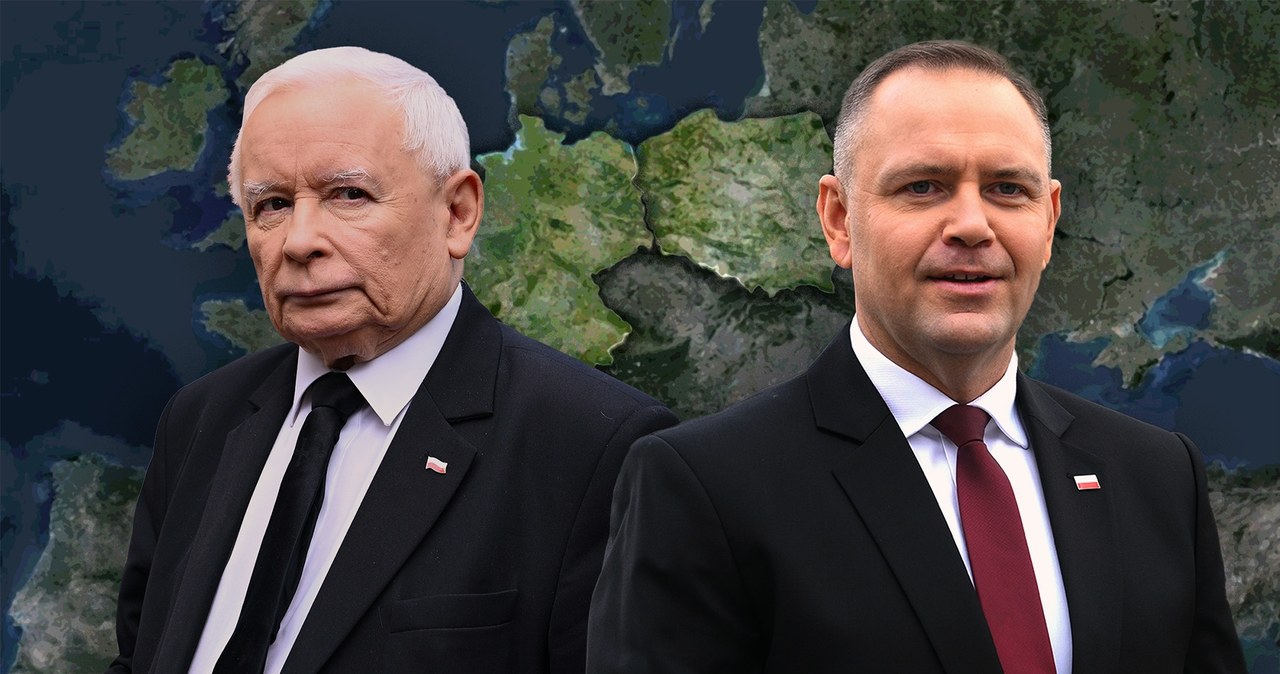 Reparacyjny zając