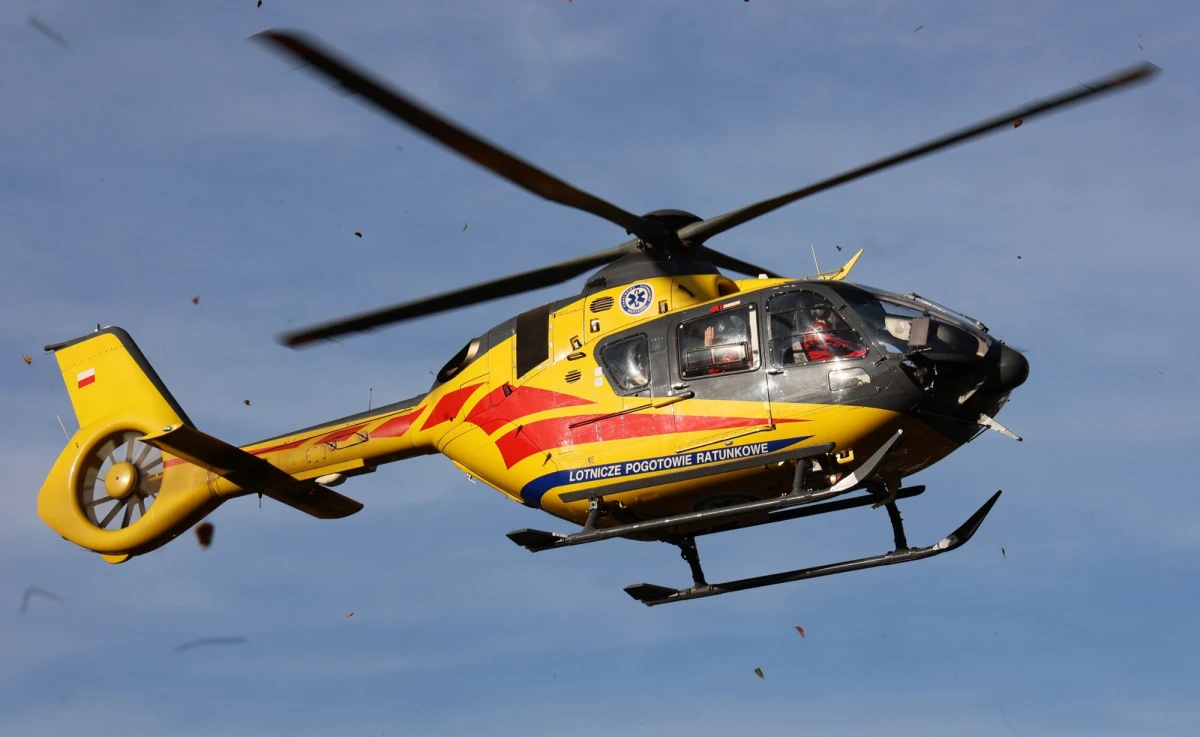 Dwie osoby zginęły w wypadku w woj. śląskim. Do tragedii doszło w czwartek w miejscowości Wielowieś w powiecie gliwickim.