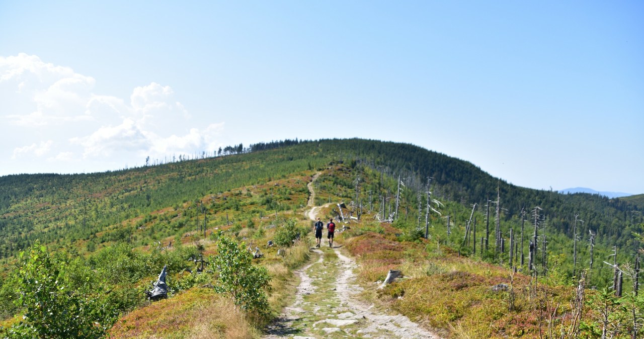 Jeden z najpiękniejszych jesiennych szlaków. Poradzą sobie choćby amatorzy