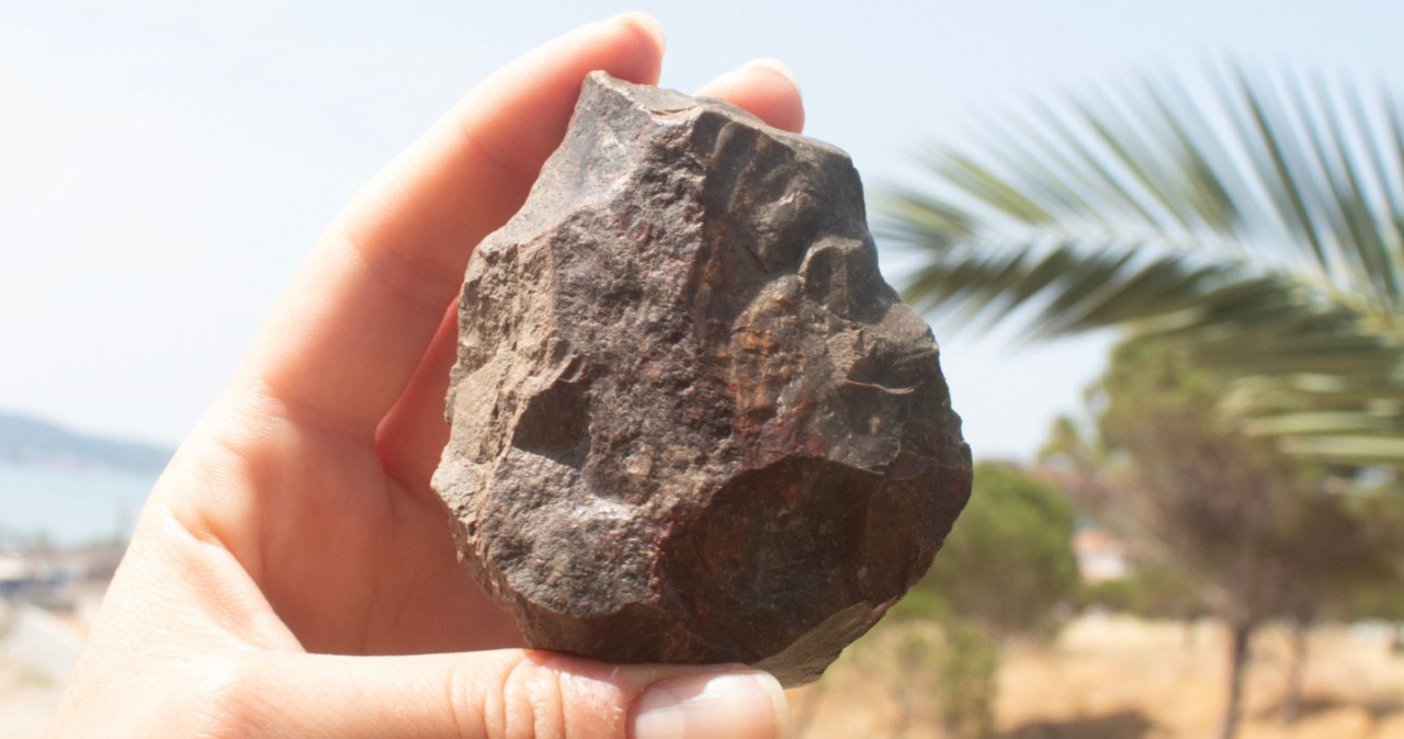 Nie tylko Beringia. Odkryli pradawny most o ogromnym znaczeniu