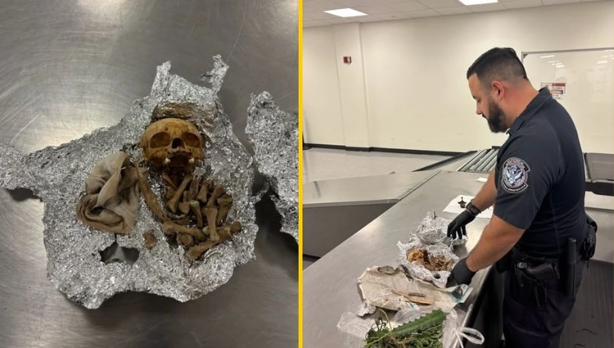 Na lotnisku w Tampa na Florydzie celnicy dokonali makabrycznego odkrycia – w bagażu jednego z podróżnych znaleziono ludzką czaszkę oraz kilka innych kości, owiniętych w folię aluminiową. 