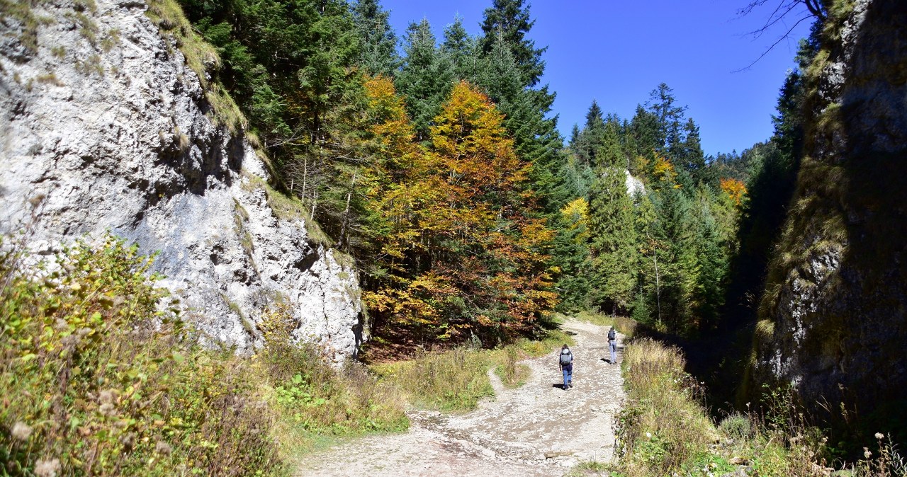 Ten szlak turyści najchętniej wybierają jesienią. Bardzo widokowy i niezbyt trudny