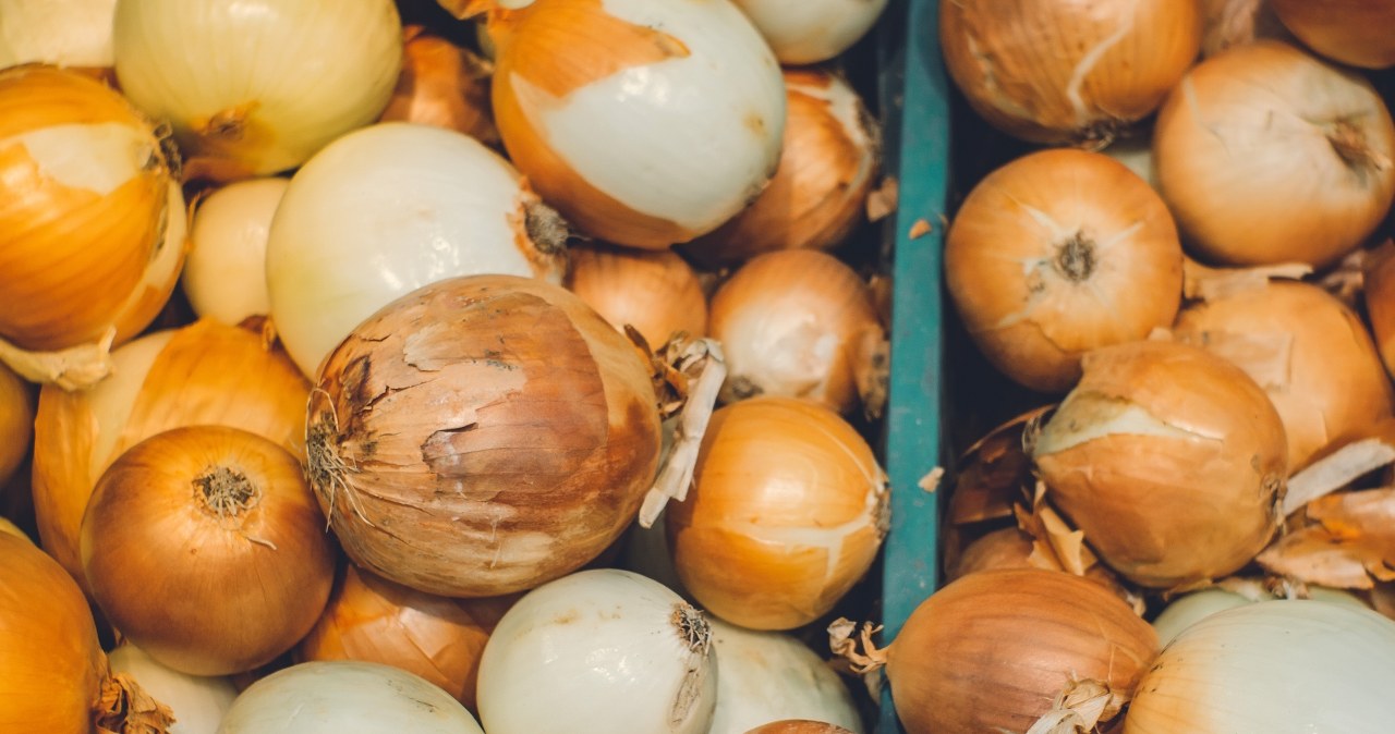 Teściowa przechowuje cebulę tylko w ten sposób. Jest świeża choćby pół roku