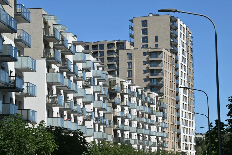 Dzikich lokatorów przybywa. Projekt Konfederacji dzieli ekspertów